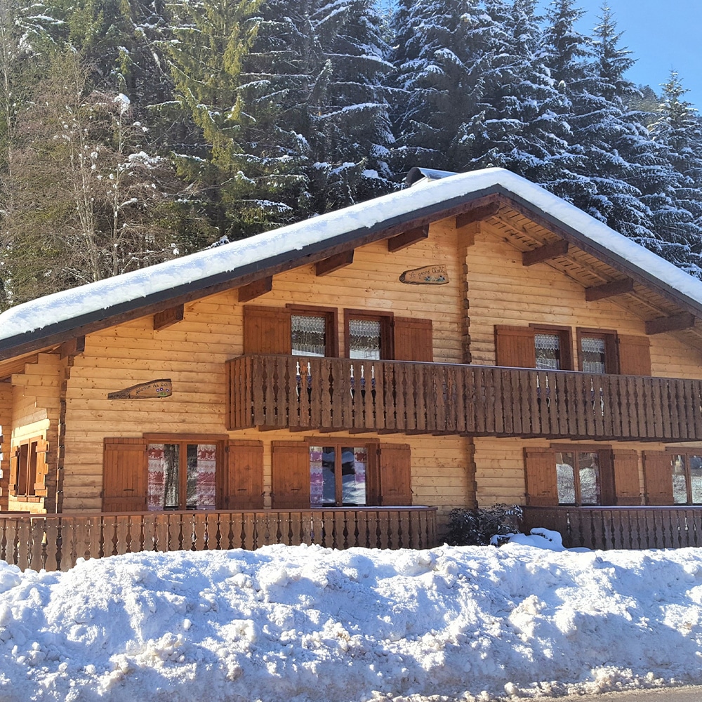 Chalet Grand chalet - Hiver 1