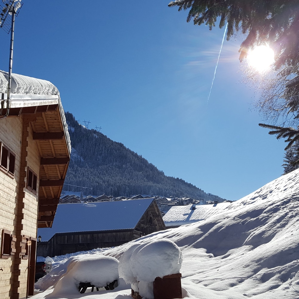 Chalet Grand chalet - Hiver 3